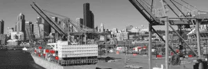 Container ship and cranes at a waterfront terminal.